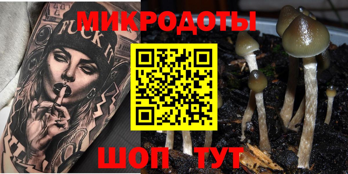 Галлюциногенные грибы мухоморы  Вход с VPN  Ачхой-Мартан  Галлюциногенные грибы мицелий 
