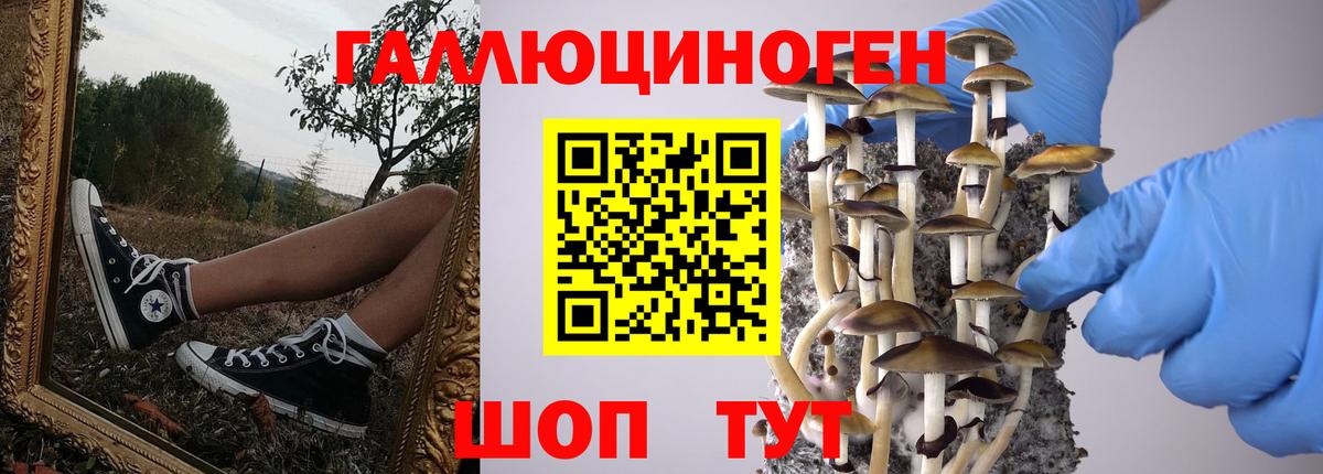Псилоцибиновые грибы мухоморы Ачхой-Мартан