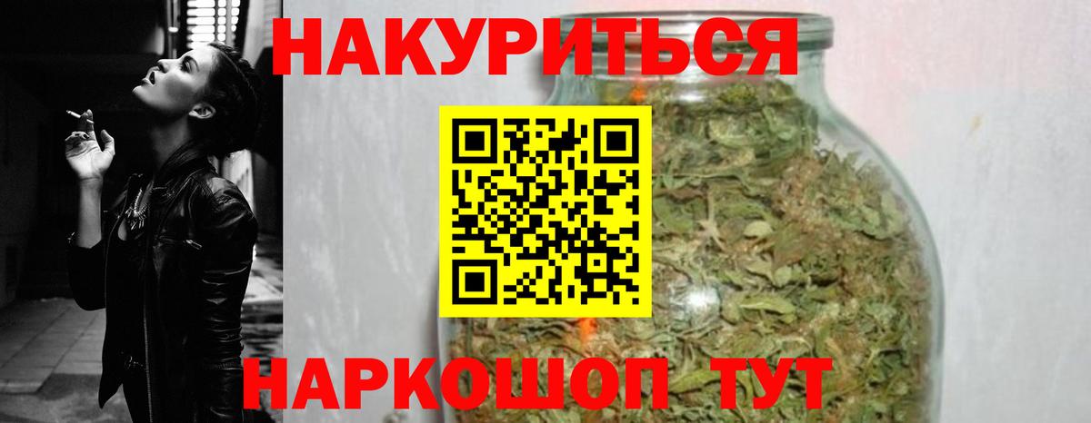 МАРИХУАНА сатива Ачхой-Мартан